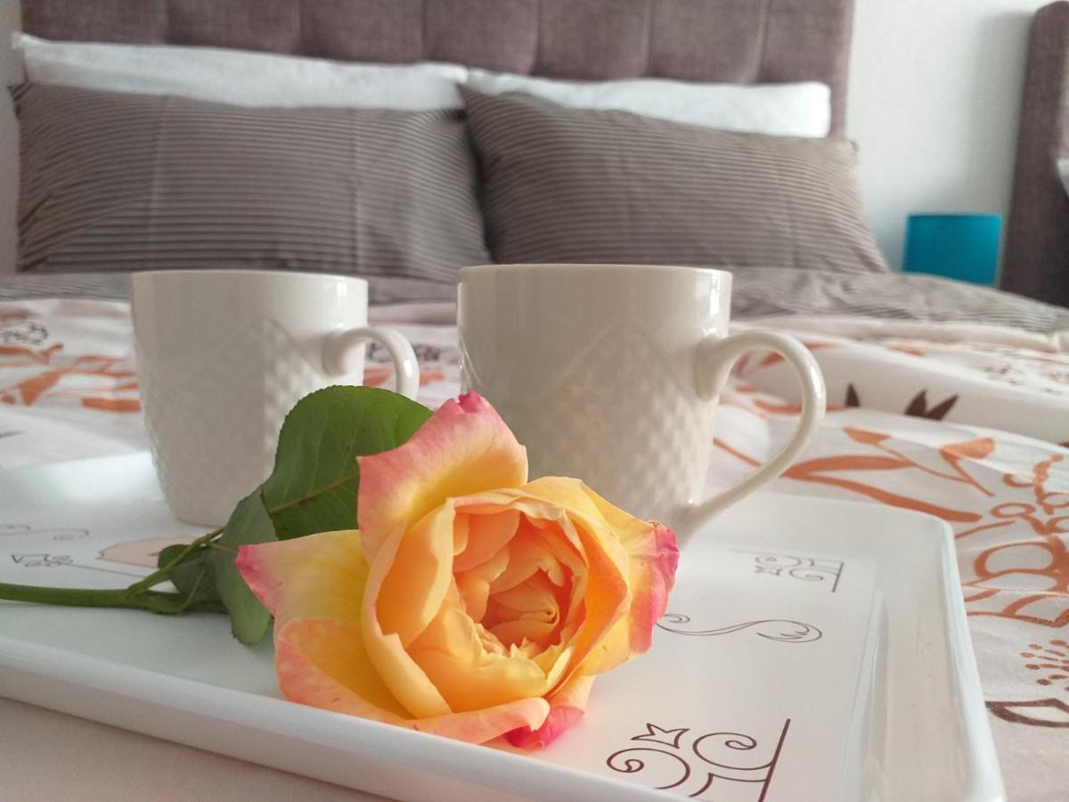 Apartments Karic Aerodrom Tuzla Dubrave Gornje Εξωτερικό φωτογραφία